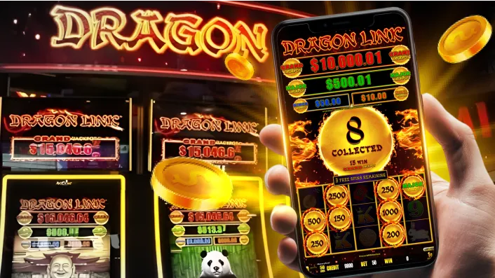 Bingo Mobile App